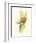 Elegant Tropics II-Jennifer Goldberger-Framed Art Print