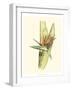 Elegant Tropics II-Jennifer Goldberger-Framed Art Print