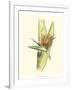 Elegant Tropics II-Jennifer Goldberger-Framed Art Print