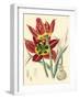 Elegant Tulips I-null-Framed Art Print