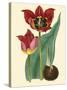 Elegant Tulips II-null-Stretched Canvas