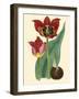 Elegant Tulips II-null-Framed Art Print