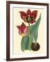 Elegant Tulips II-null-Framed Art Print