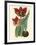 Elegant Tulips II-null-Framed Art Print