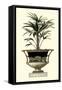 Elegant Urn with Foliage I-Giardini-Framed Stretched Canvas