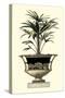 Elegant Urn with Foliage I-Giardini-Stretched Canvas