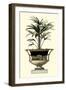 Elegant Urn with Foliage I-Giardini-Framed Art Print