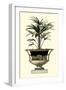 Elegant Urn with Foliage I-Giardini-Framed Art Print