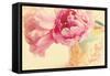 Elegant Vase-Sarah Gardner-Framed Stretched Canvas