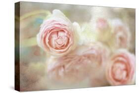 Elegant-Viviane Fedieu Danielle-Stretched Canvas