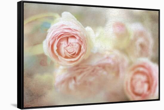 Elegant-Viviane Fedieu Danielle-Framed Stretched Canvas