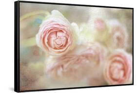 Elegant-Viviane Fedieu Danielle-Framed Stretched Canvas