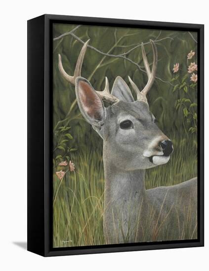 Elegant-Luis Aguirre-Framed Stretched Canvas