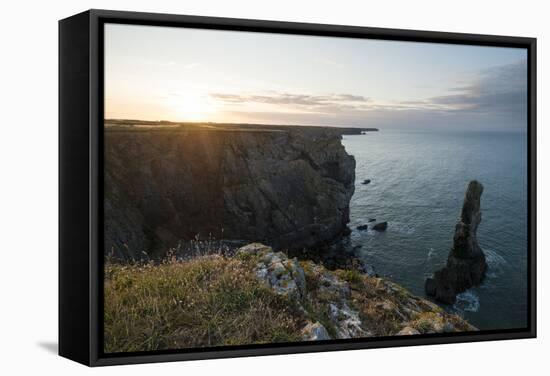 Elegug Stacks, Pembrokeshire Coast National Park, Wales, United Kingdom, Europe-Ben Pipe-Framed Stretched Canvas