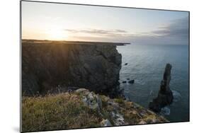 Elegug Stacks, Pembrokeshire Coast National Park, Wales, United Kingdom, Europe-Ben Pipe-Mounted Photographic Print