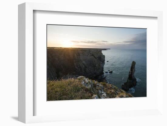 Elegug Stacks, Pembrokeshire Coast National Park, Wales, United Kingdom, Europe-Ben Pipe-Framed Photographic Print