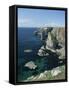 Elegug Stacks, Pembrokeshire, Wales, United Kingdom-Chris Nicholson-Framed Stretched Canvas