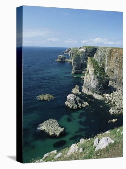 Elegug Stacks, Pembrokeshire, Wales, United Kingdom-Chris Nicholson-Stretched Canvas