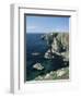 Elegug Stacks, Pembrokeshire, Wales, United Kingdom-Chris Nicholson-Framed Premium Photographic Print