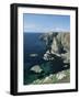 Elegug Stacks, Pembrokeshire, Wales, United Kingdom-Chris Nicholson-Framed Photographic Print