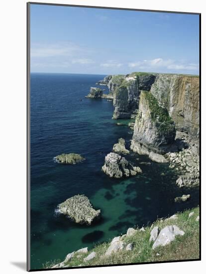 Elegug Stacks, Pembrokeshire, Wales, United Kingdom-Chris Nicholson-Mounted Photographic Print