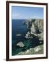 Elegug Stacks, Pembrokeshire, Wales, United Kingdom-Chris Nicholson-Framed Photographic Print