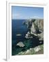 Elegug Stacks, Pembrokeshire, Wales, United Kingdom-Chris Nicholson-Framed Photographic Print