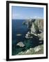 Elegug Stacks, Pembrokeshire, Wales, United Kingdom-Chris Nicholson-Framed Photographic Print