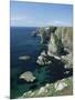 Elegug Stacks, Pembrokeshire, Wales, United Kingdom-Chris Nicholson-Mounted Photographic Print