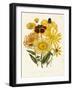 Elekia Speciosa, Inula Glandiosa, Silphuim Trifoliatum-null-Framed Giclee Print