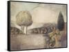 Elemental Landscape II-Ivo-Framed Stretched Canvas