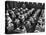 Elementary School Children with Heads Down on Desk During Rest Period in Classroom-Alfred Eisenstaedt-Stretched Canvas