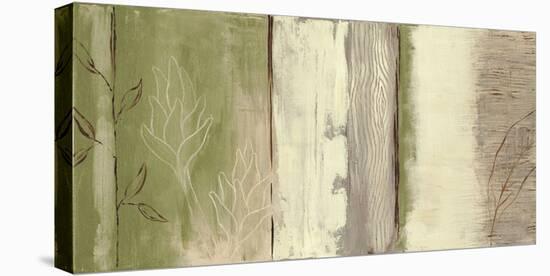 Elements of Nature II-Yvette St.Amant-Stretched Canvas