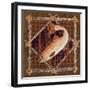 Elements of Nature III-Linda Baliko-Framed Art Print