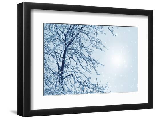 Premium Photographic Print, , large