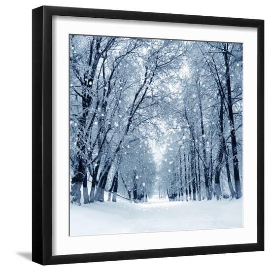 Premium Photographic Print, , large