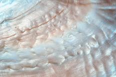 Luxury Nacre Seashell Background Texture close Up-Elen11-Photographic Print