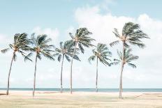 Beach Chairs By The Ocean-Elena Chukhlebova-Photographic Print