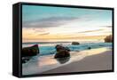 Canvas Black