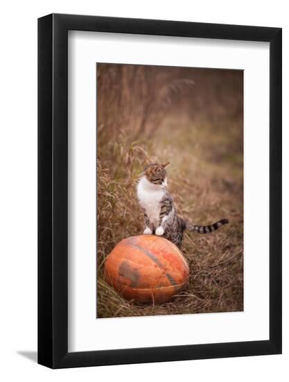Photographic Print, , large