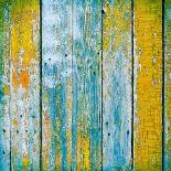 Old Wooden Planks Painted with Paint Cracked by a Rustic Background-Elena Larina-Art Print