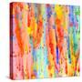 Stretched Canvas