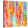 Stretched Canvas