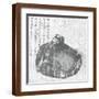Brown Frame