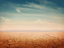 Desert Landscape Background Global Warming Concept-Elena Schweitzer-Photographic Print