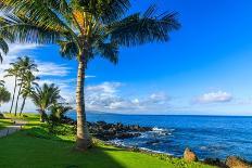 Wailea Beach near Kihei, Maui, Hawaii, USA-Elena_Suvorova-Photographic Print