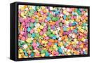 Framed Canvas