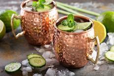 Moscow Mule Cocktail with Lime, Mint and Cucumber-Elena Veselova-Photographic Print