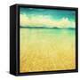 Canvas Black
