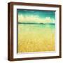 Brown Frame